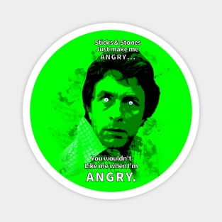 Sticks & Stones Magnet